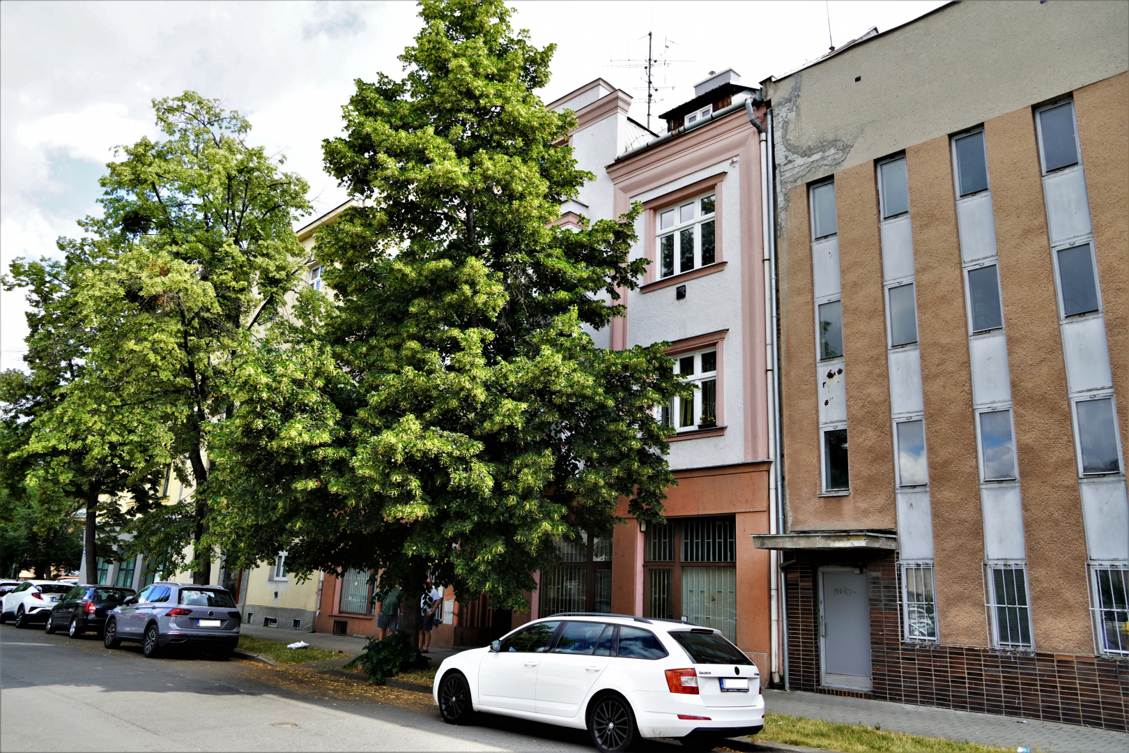 Macharova 945/9 - barbershop, kadeřnictví - 66 m²